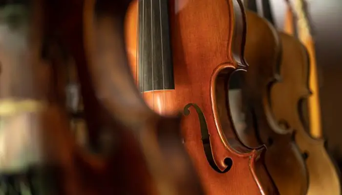 Viola Vs Violin: Which is Better In 2021
