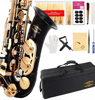 Saxophone sax with 11reeds