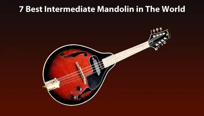 Best Intermediate Mandolin in The World