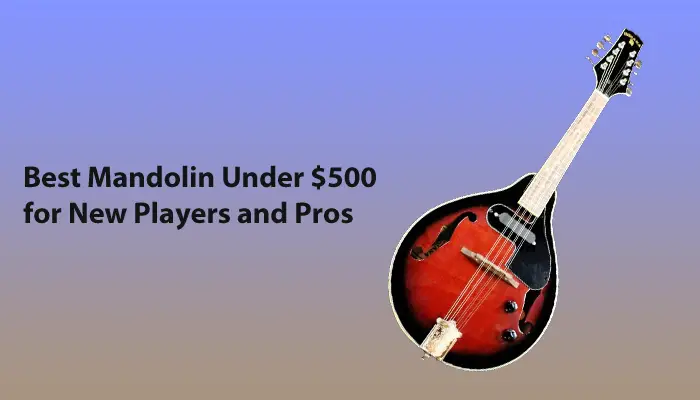 Best Mandolin Under $500 for New Players and Pros