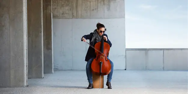 How much does a professional cello cost
