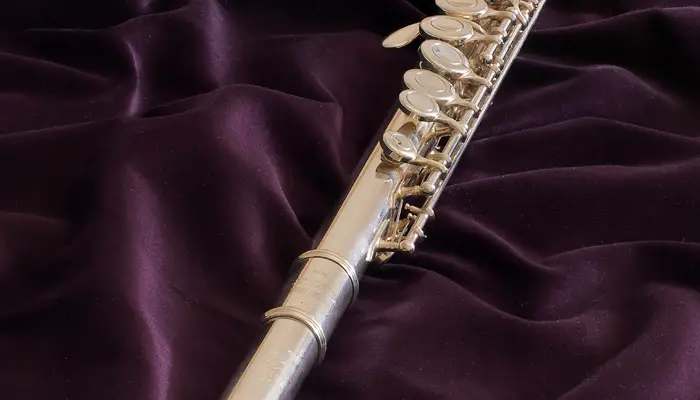 What Is the Best Brand of Flute