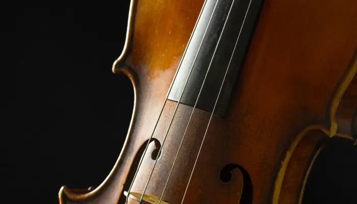 What Is the Difference Between a Bass and Cello