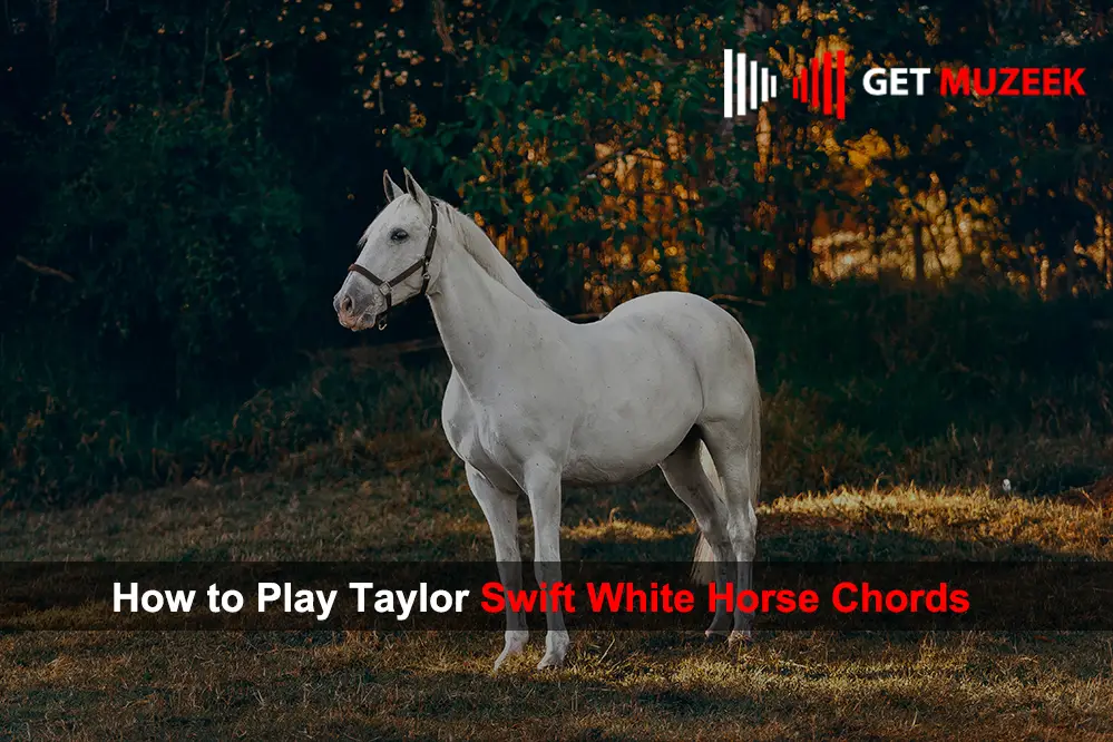 How to Play Taylor Swift White Horse Chords