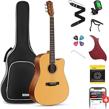 Donner Acoustic Guitar Kit for Beginner Adults and Teens
