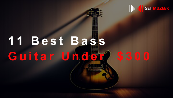 11 Best Bass Guitar Under $300