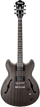  Ibanez AS53TKF Semi-Hollow-Body Electric Guitar