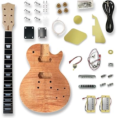 BexGears DIY Electric Guitar Kit