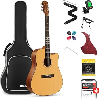 Donner Acoustic Guitar Kit