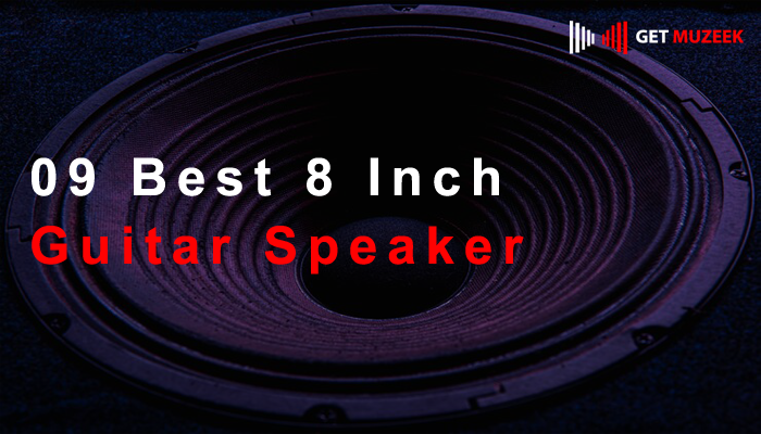 09 Best 8 Inch Guitar Speaker