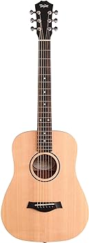 Taylor Size Dreadnought Acoustic Guitar