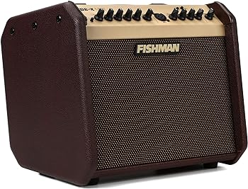 Fishman Loudbox Mini BT