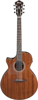 Ibanez AE295L 6-String Acoustic-Electric Guitar